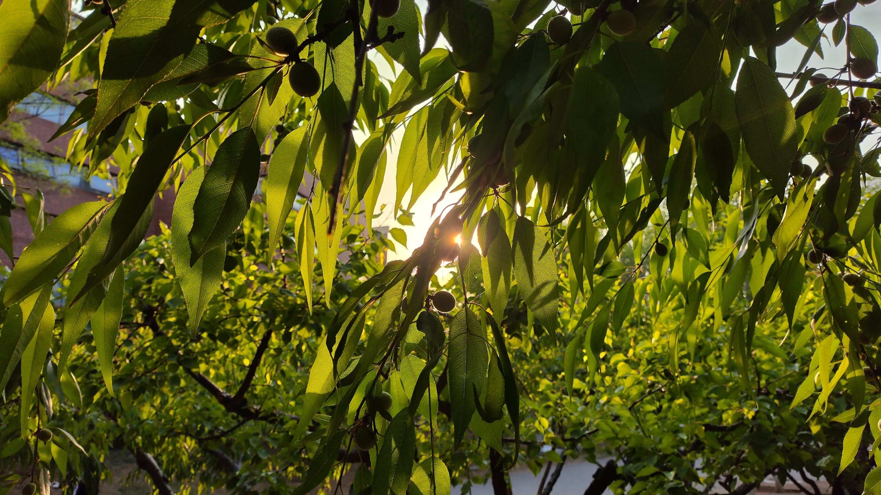 婚纱摄影移动端推广快速占领市场 移动互联网营销如何玩转新玩法