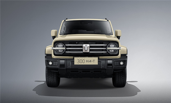 吉林市小妹300联系电话