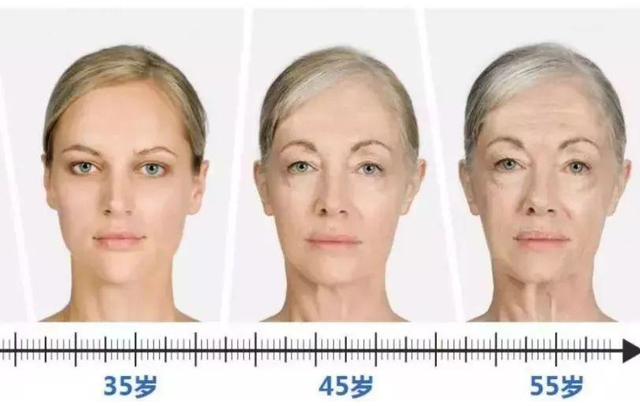 单身女性的微信社交图谱,当代独身女性的数字栖息地