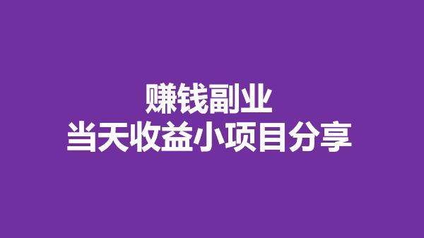 赚钱小项目