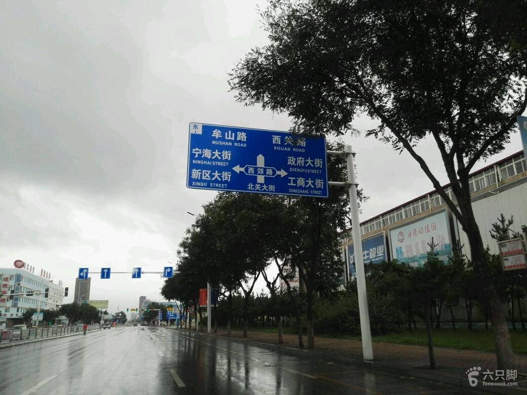 被车轮碾碎的尊严：省道S207沿线流动性交易调查记录与分析