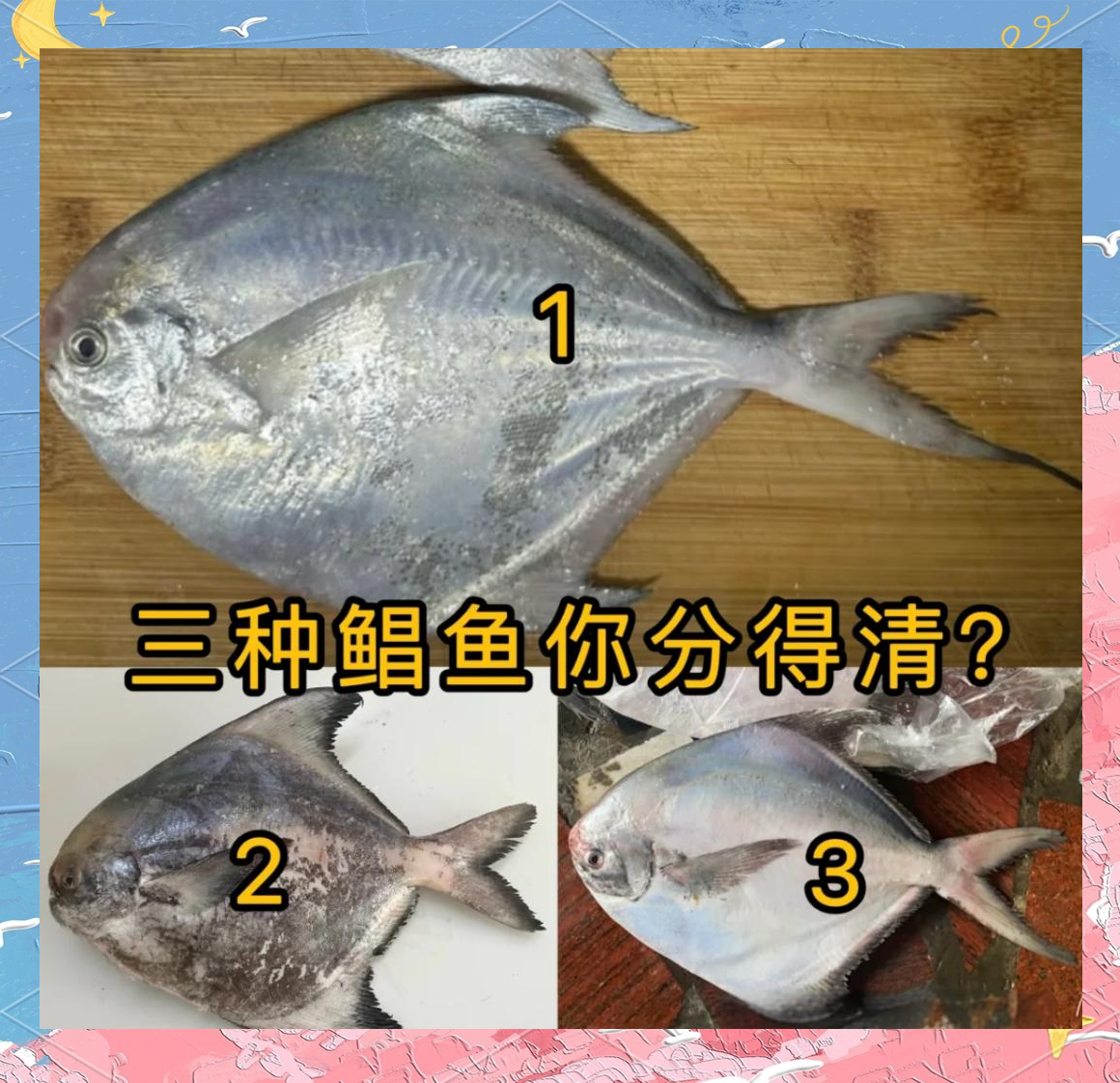 鲳鱼价格