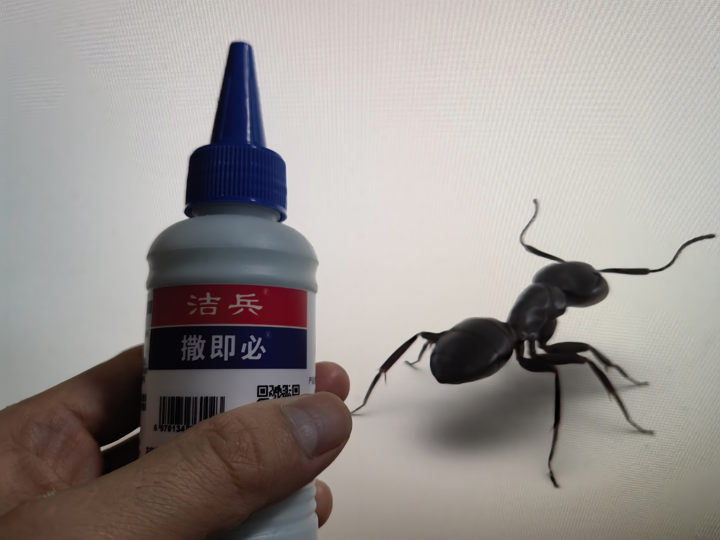 厨房蚂蚁彻底清除办法 家里苍蝇泛滥解决高招