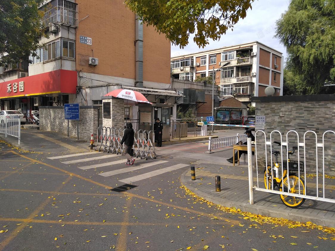 哈学院路小胡同暗号大全解密指南