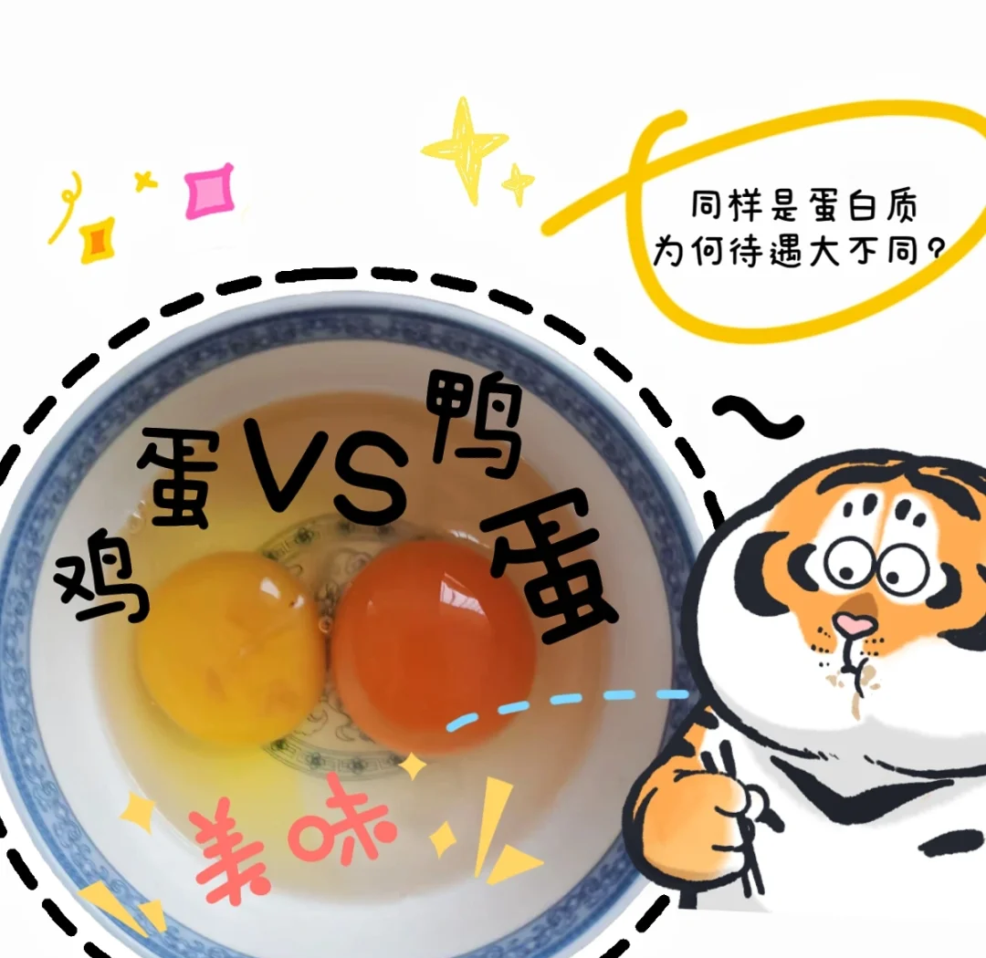 鸭蛋和鸡蛋的区别 鸭蛋的功效与储存方法