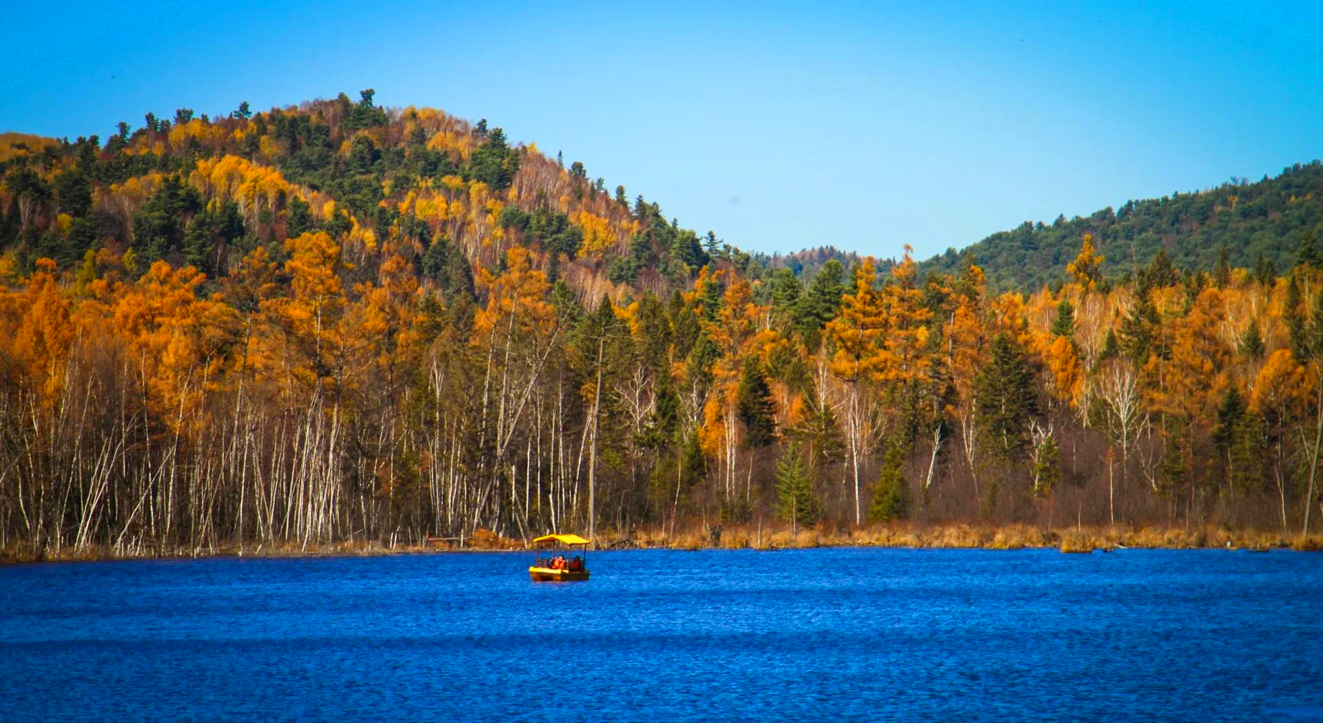 伊春哪个地方可以找女人可以过夜