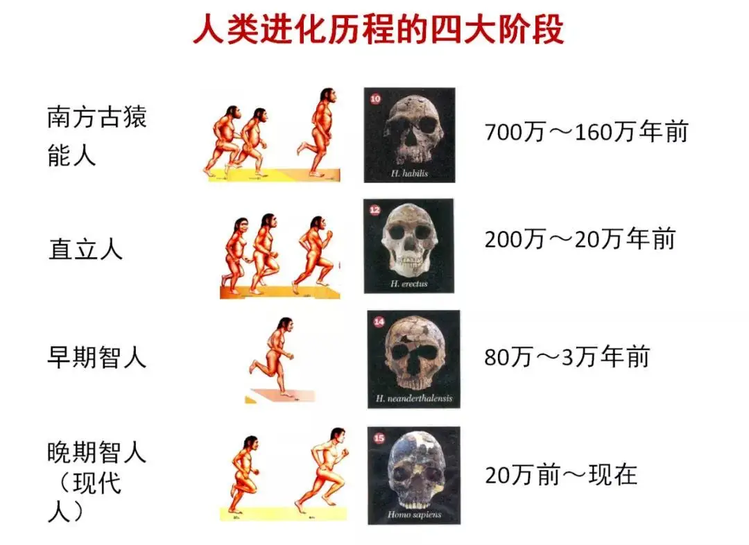 非人类与人类的区别 人工智能能否取代人类