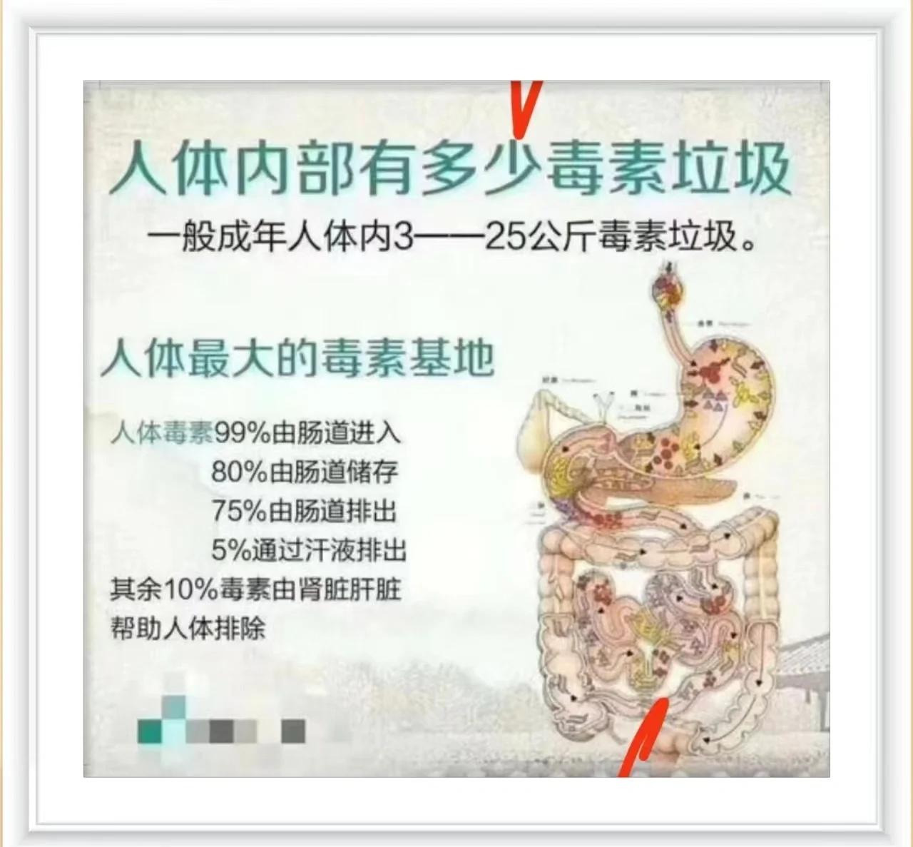 为什么肠胃是肚子里的“第二大脑”?...