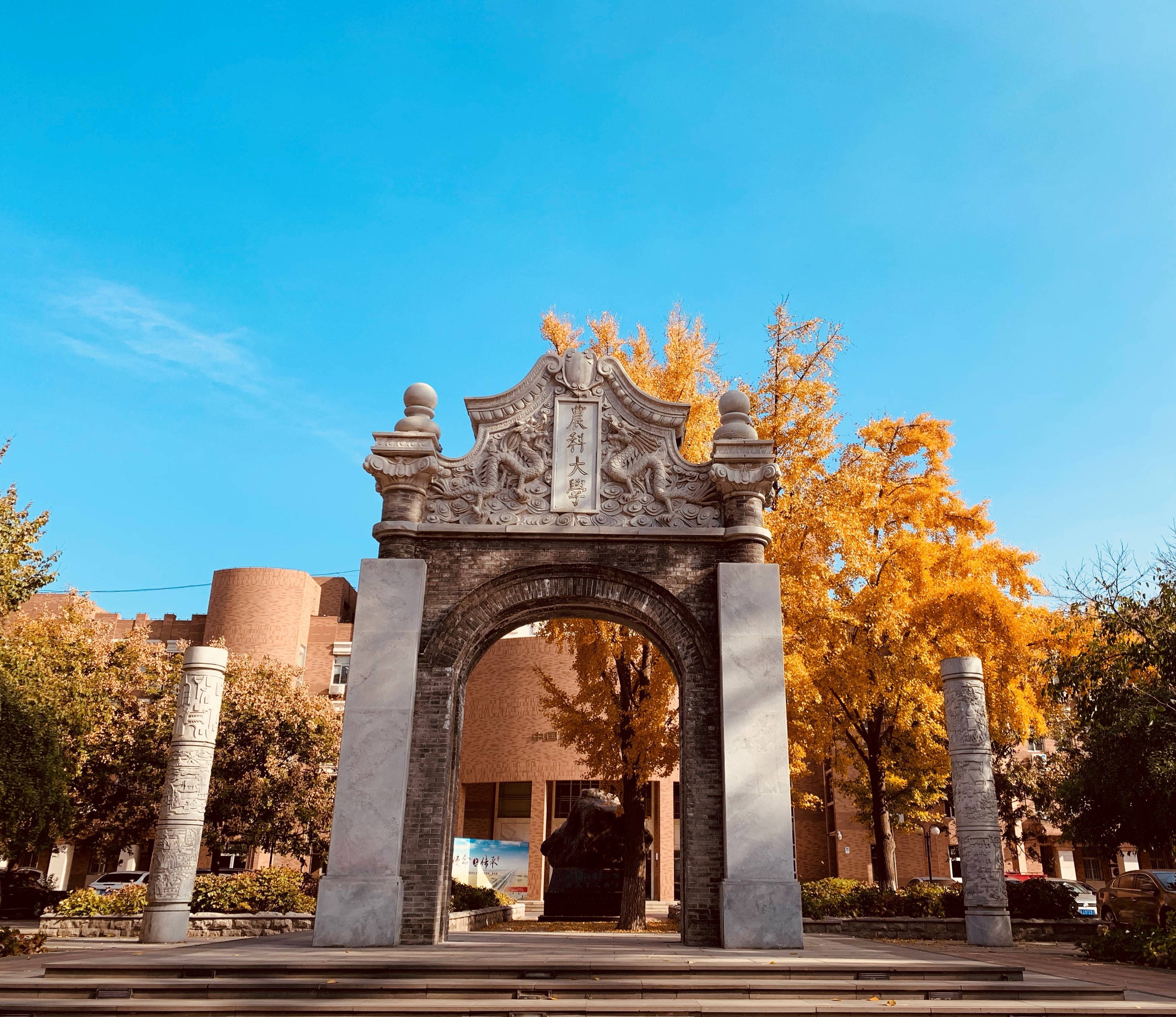 新疆农业大学官网