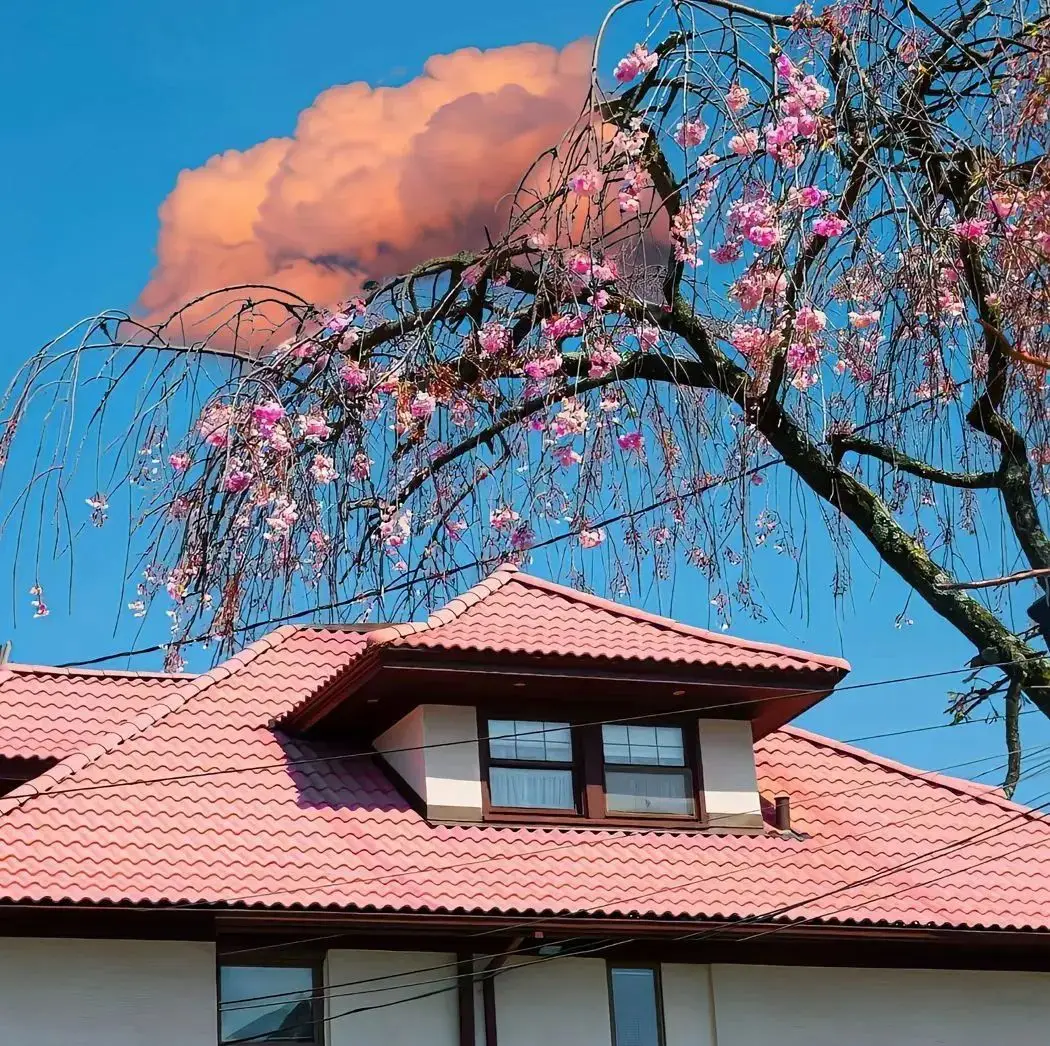 黑河品茶上课群：品茶心得与分享分享