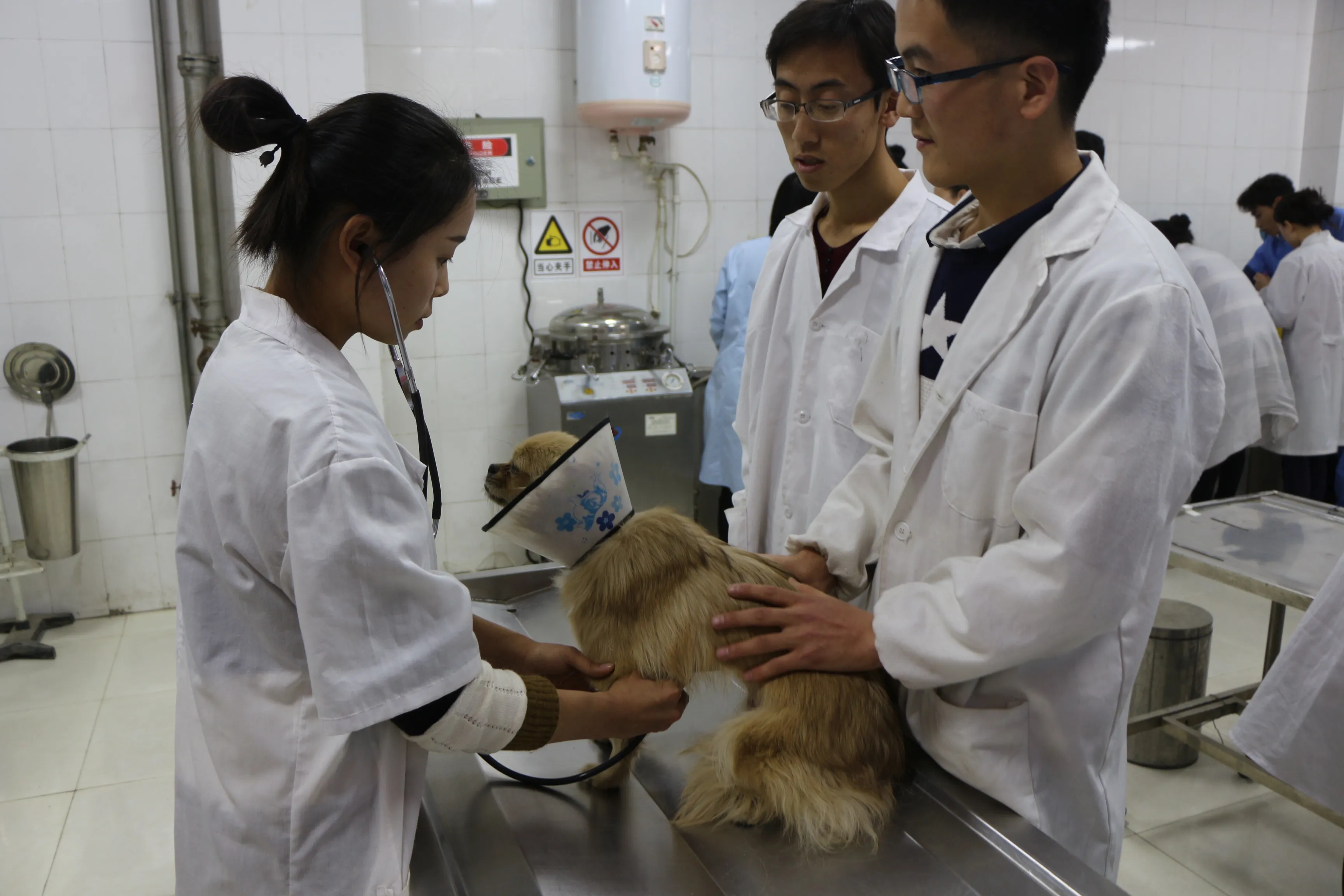 山东畜牧兽医学院