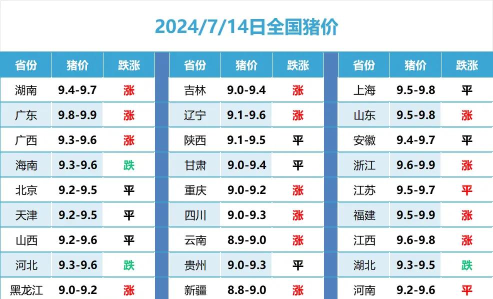 山东今日猪价