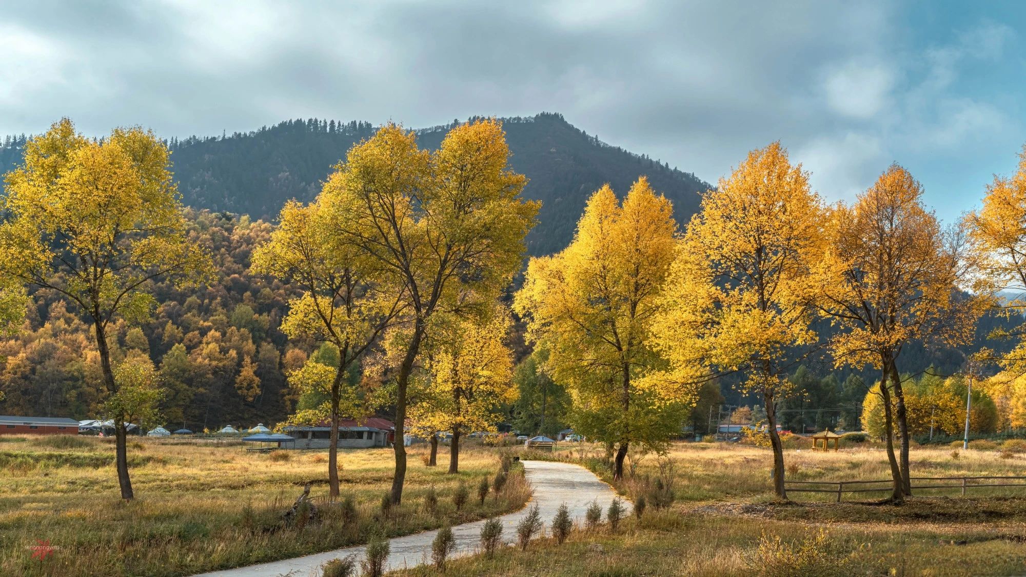 新余住酒店如何寻找同城服务的实用攻略