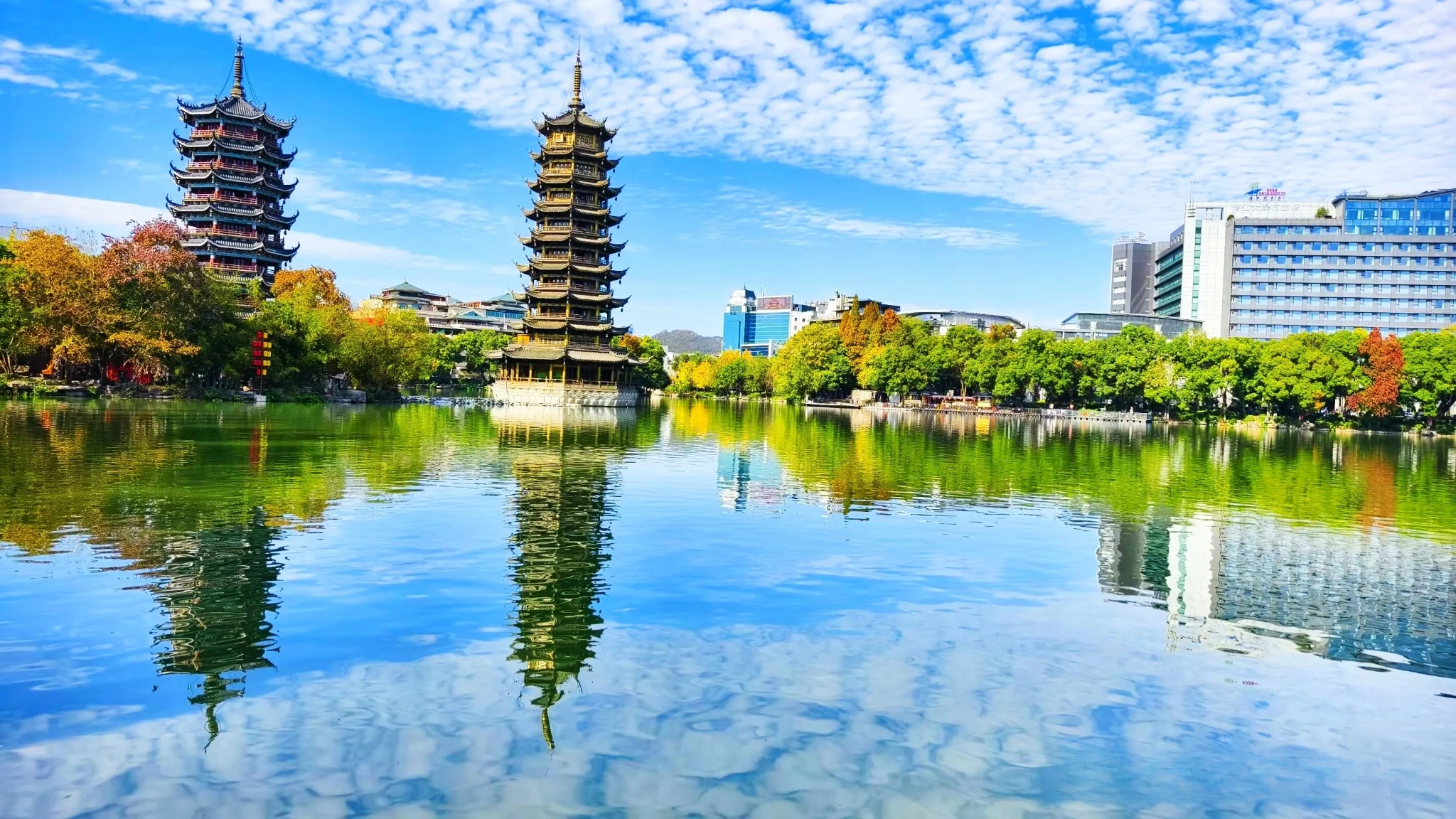 美团找妹纸攻略：新手必看的实用指南
