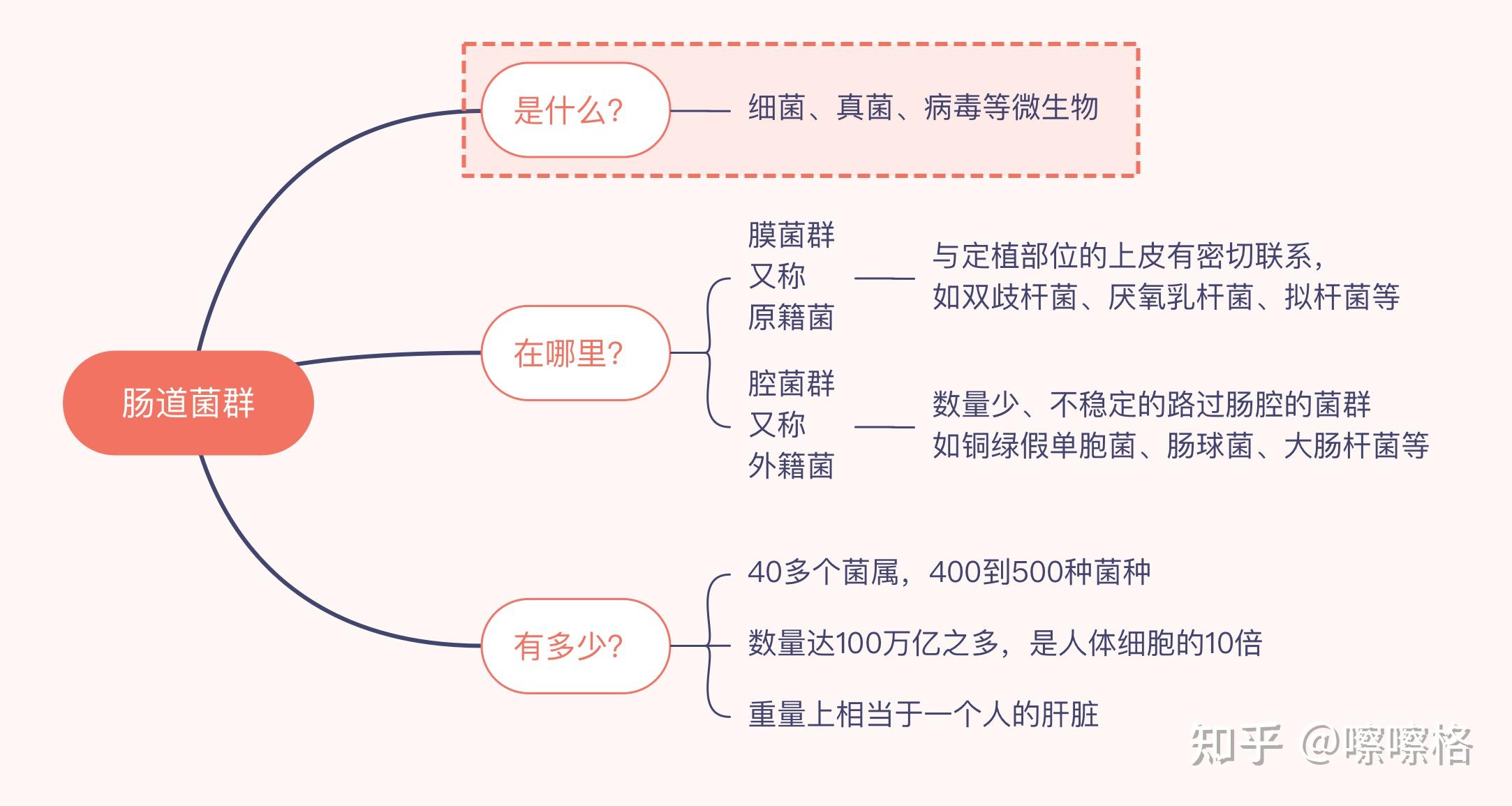 体内微生物:“人类第二基因组”...