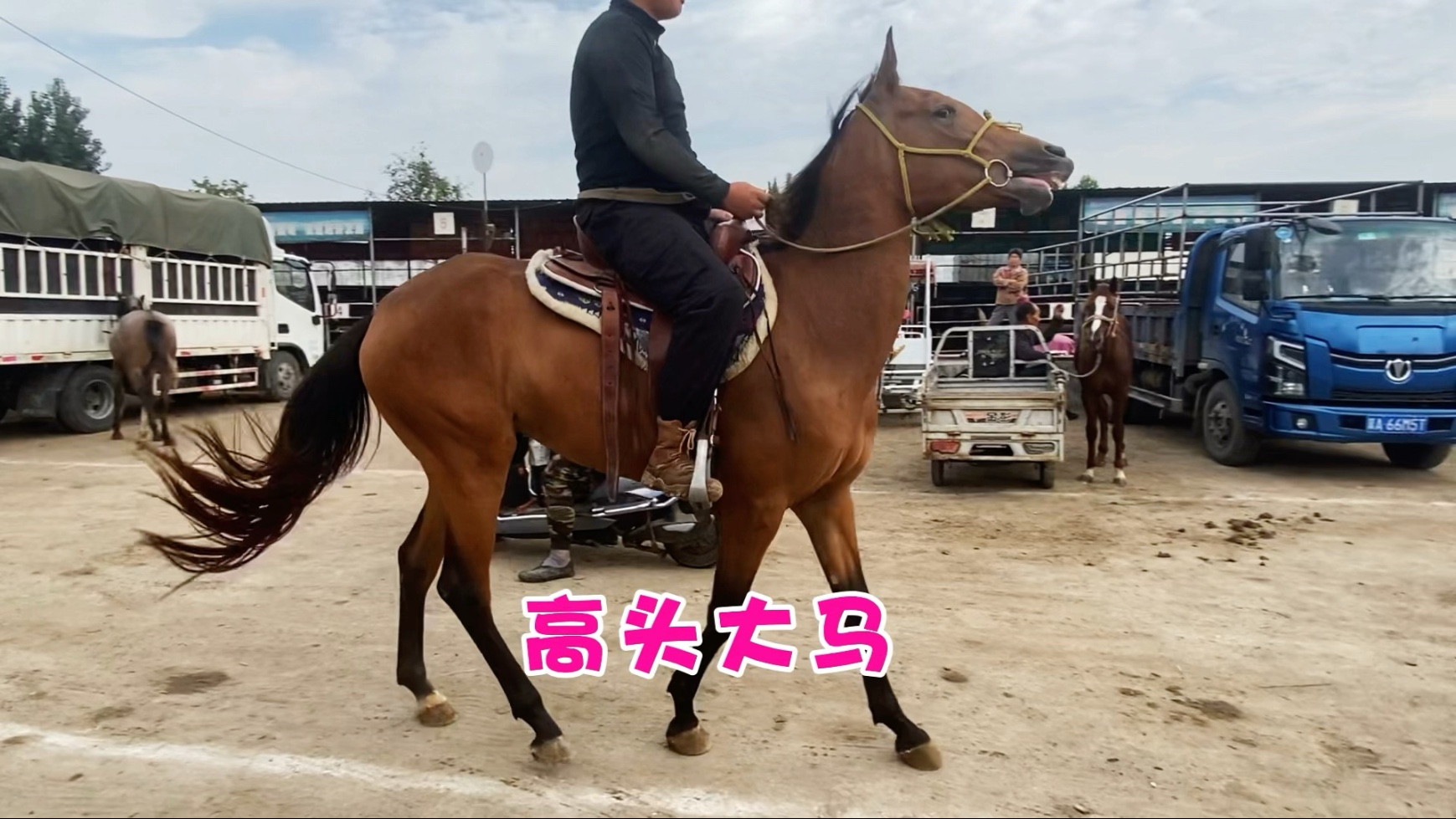 近期消息显示：大马村走完了，究竟意味着什么你知道吗？