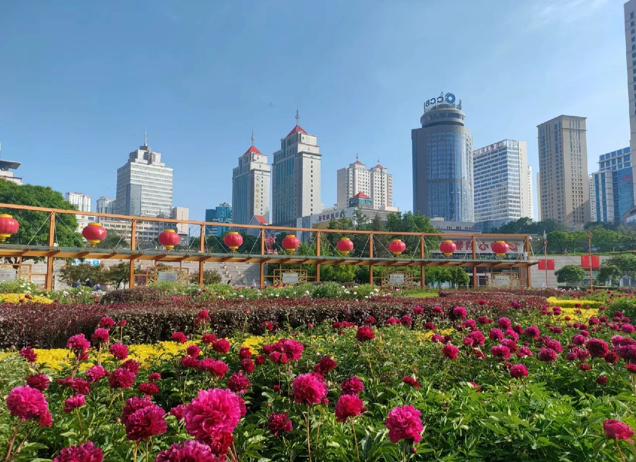 西宁93号相关信息全解析与旅游交通指南