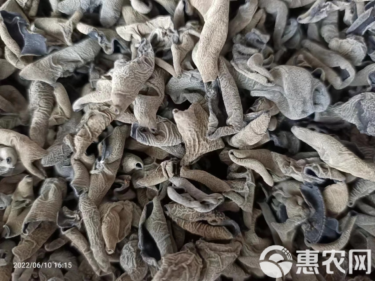 黑木耳价格