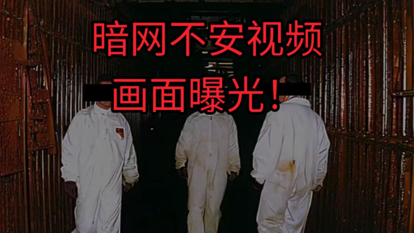 暗网可怕真相 章莹颖案件背后故事