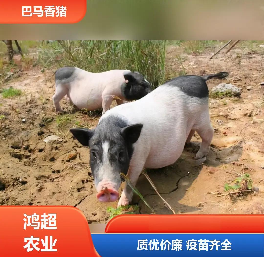 站点风采图片