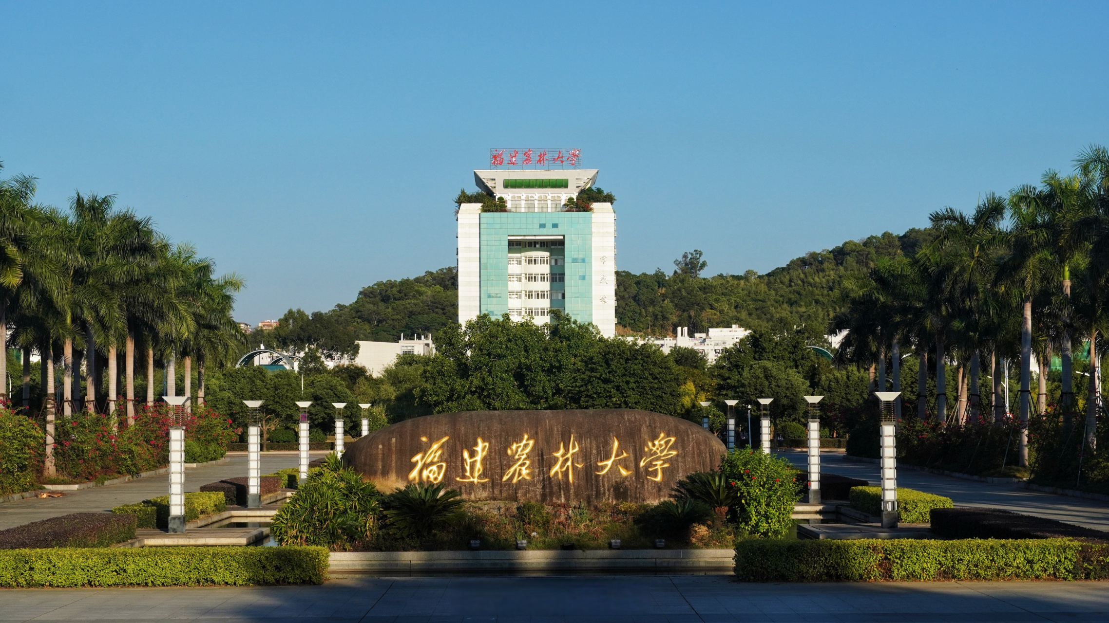 福建农林大学