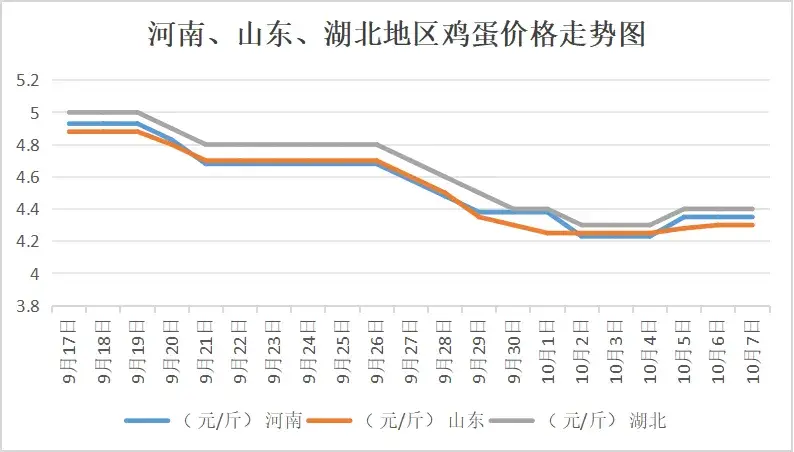 鸡蛋价格 今日价