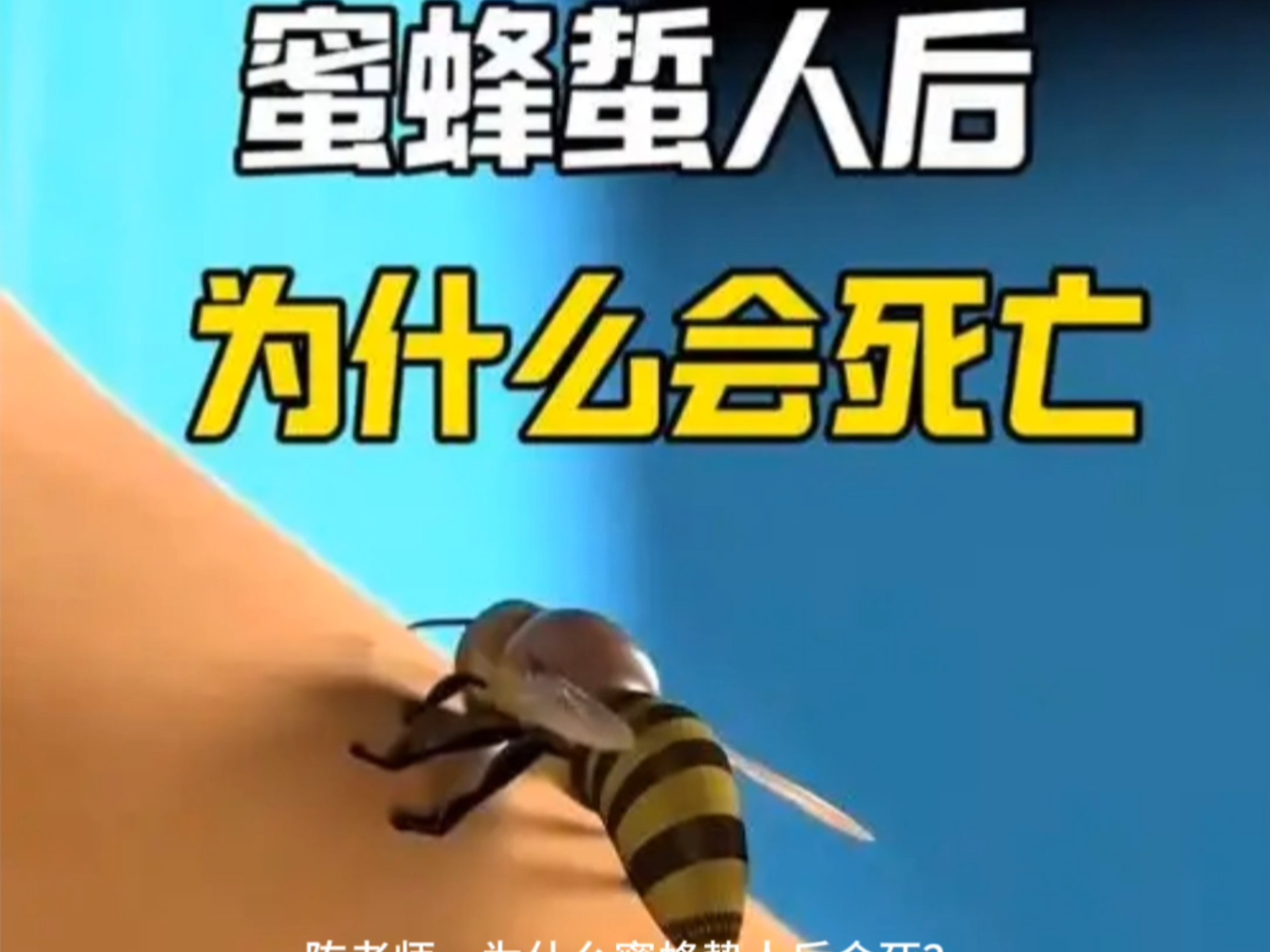 为什么蜜蜂减少会让人类和生态将陷入灾难?...