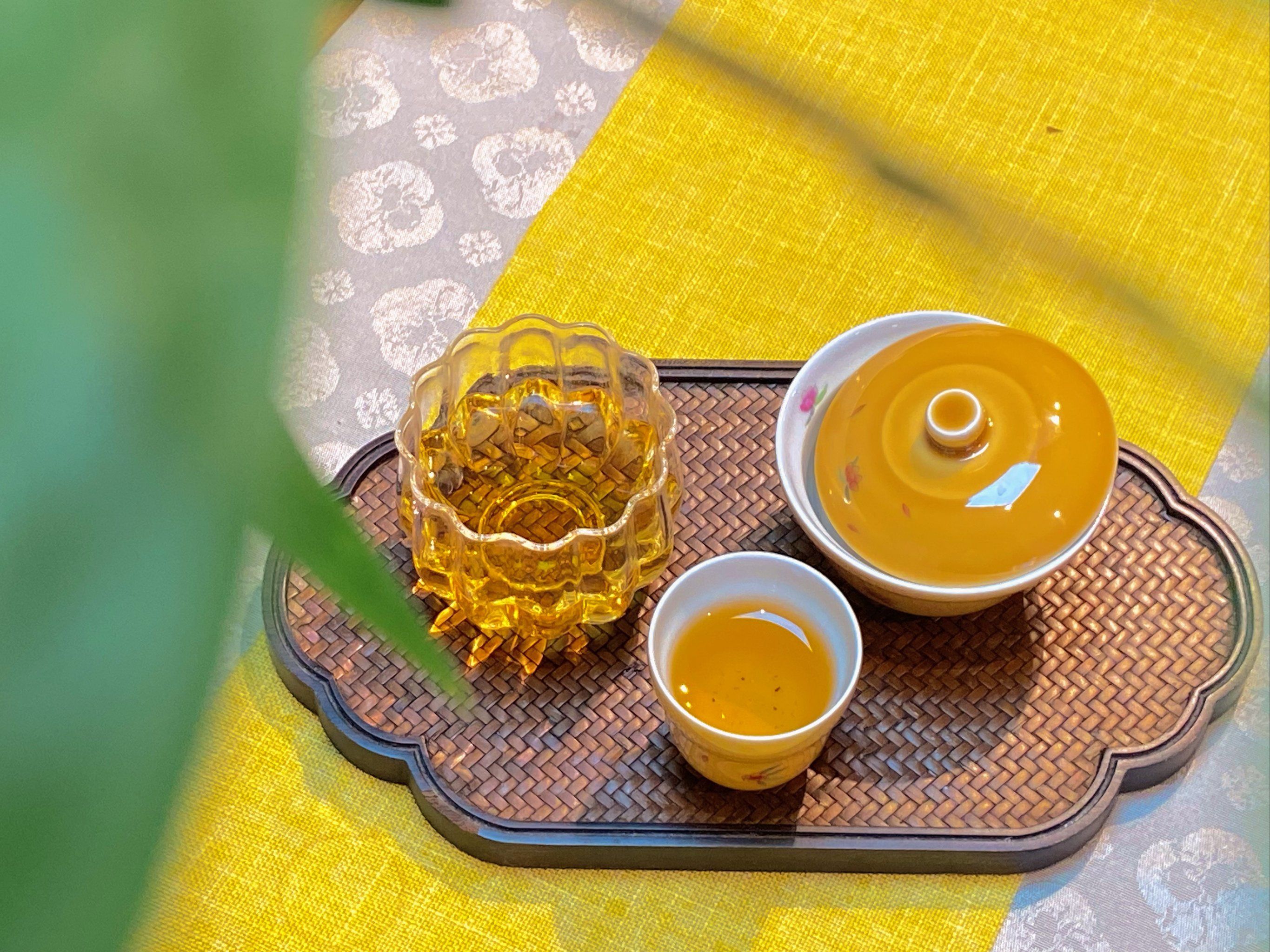 广州同城品茶指南：新手必知的入门攻略与技巧详解