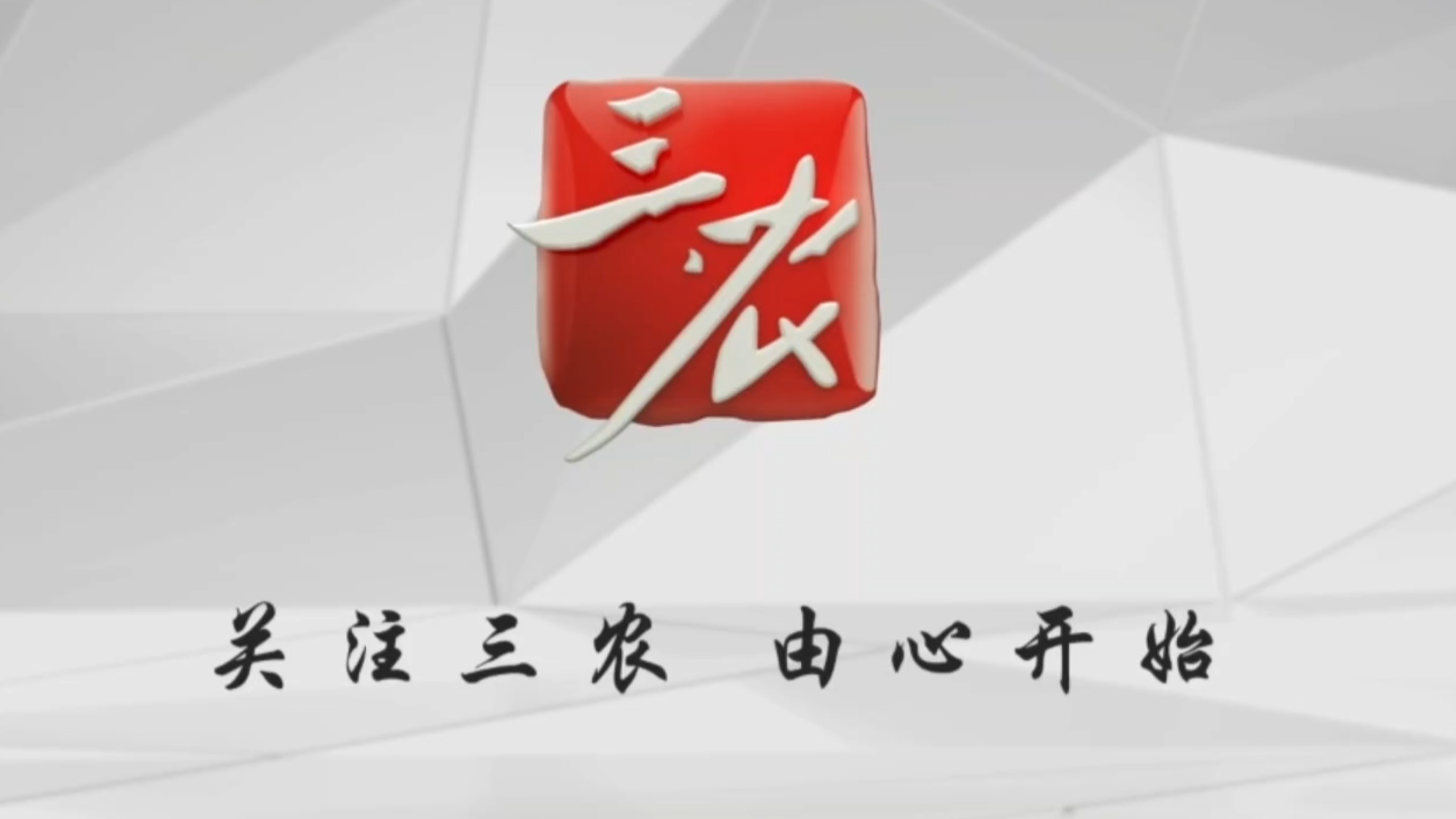 聚焦三农