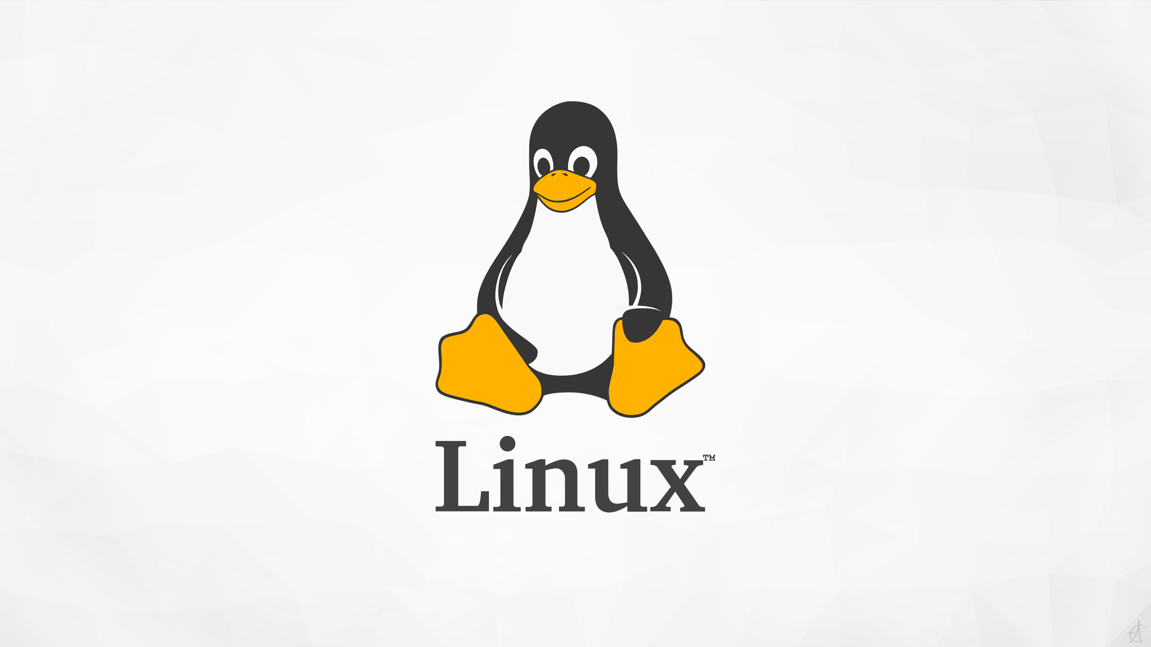 Linux常用命令都有哪些 Kali Linux命令有哪些