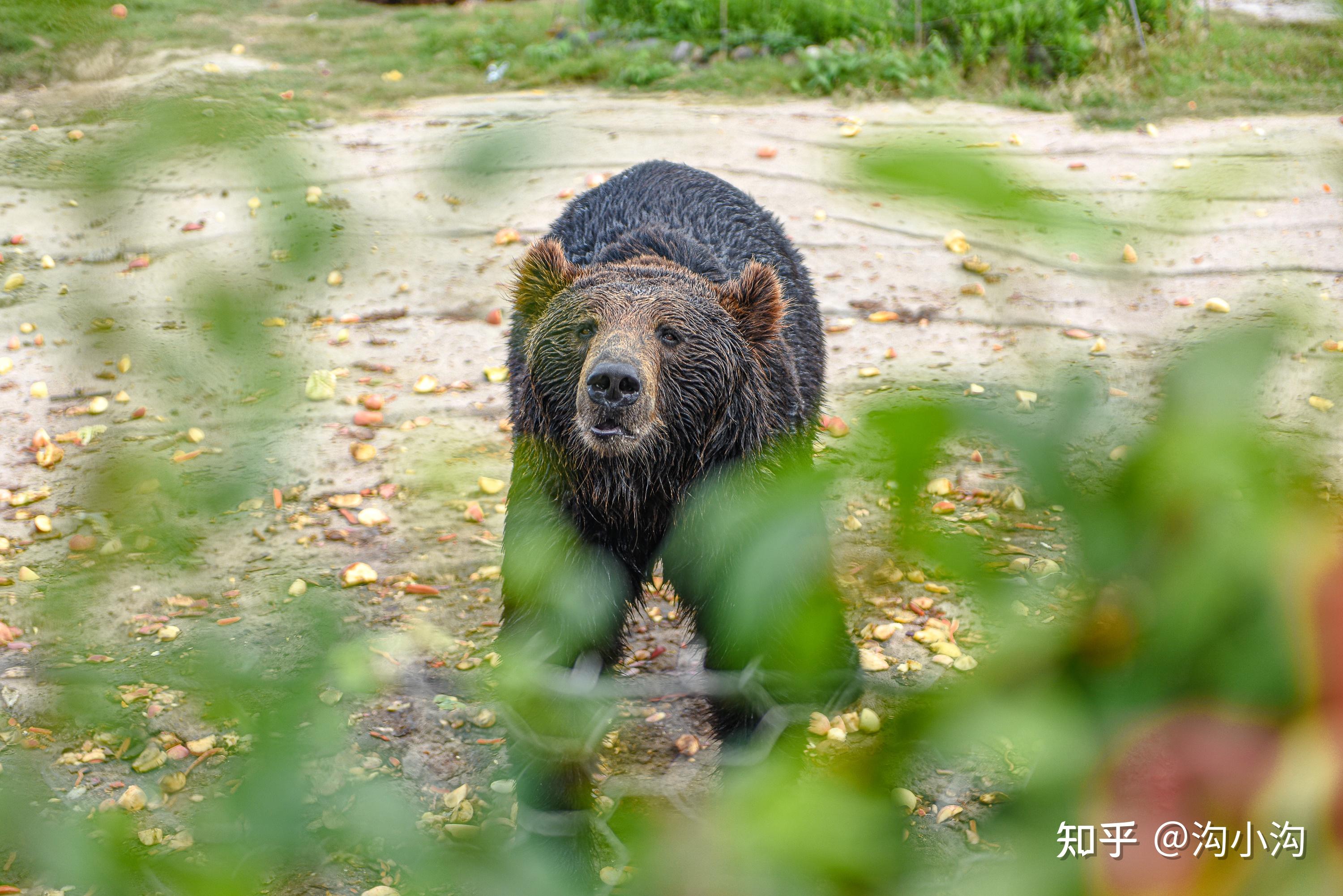 沈阳700元3小时不限次品茶体验,茶香氤氲中的慢生活美学