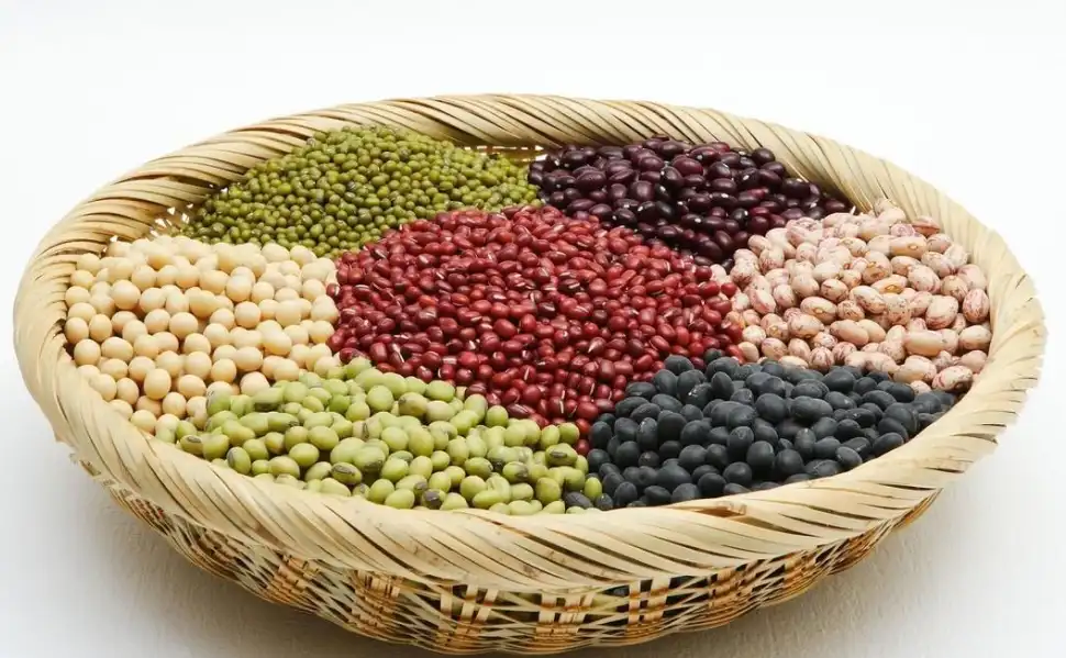 哪个软件可以下载bt种子文件 ios有什么类似于迅雷可以下载bt文件的工具