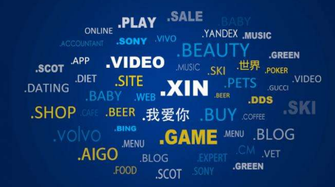 中文域名应用案例