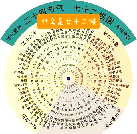 为何跨省急件总延误72小时？_全国空降24小时省40%费用方案