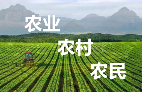 聚焦三农
