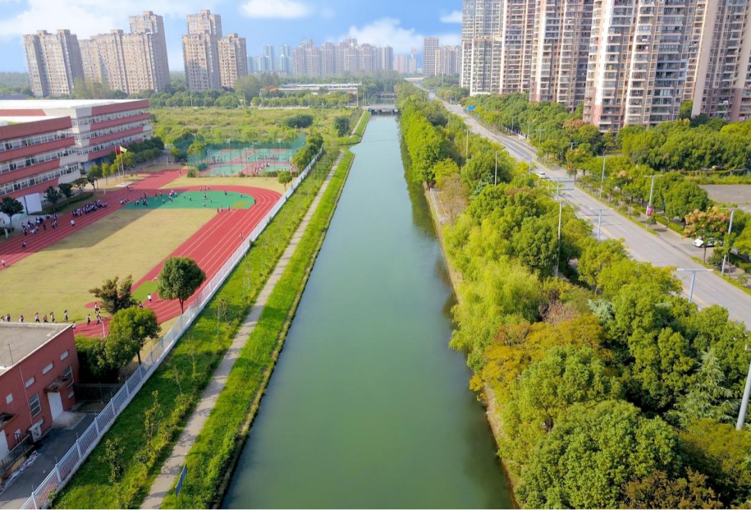 一周要闻 深入揭秘上海嘉定胜竹路站小巷隐藏的秘密宝藏