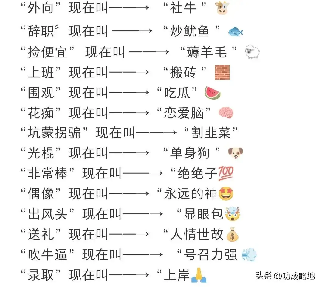 网络流行语含义解析 文言文特殊句式用法区别