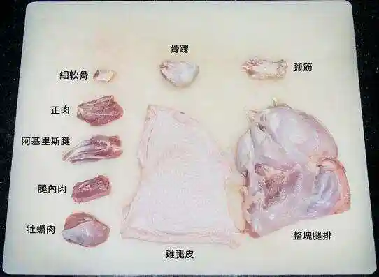 单兵 “ 掌中宝 ”导弹...