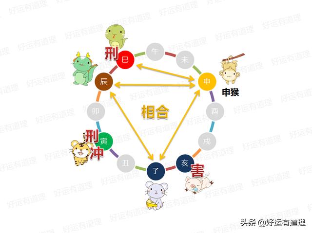 曝光！成都绿格子衬衫教室学习体验以及2025年课程安排与避坑指南