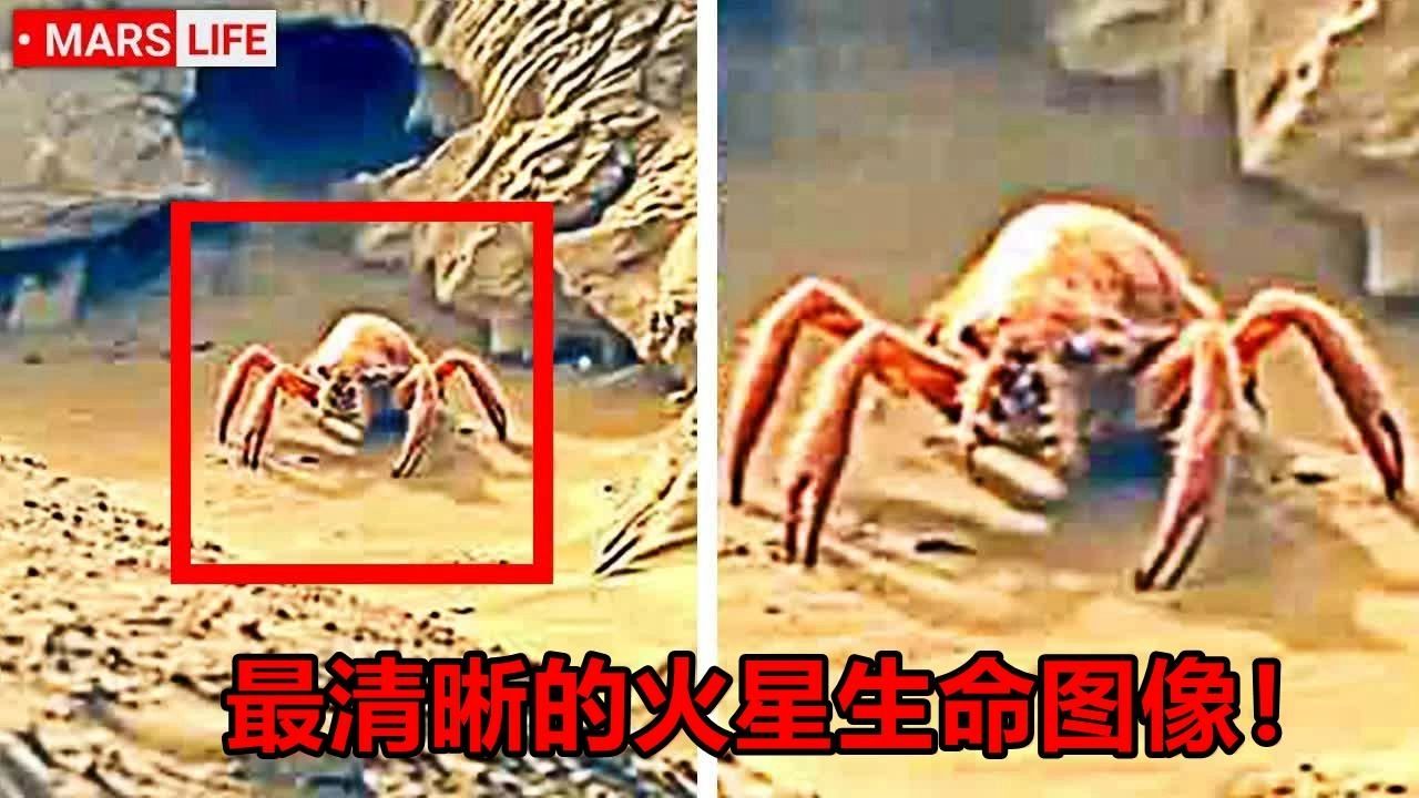 科学家宣称40多年前就发现火星有生命痕迹，会对人类...