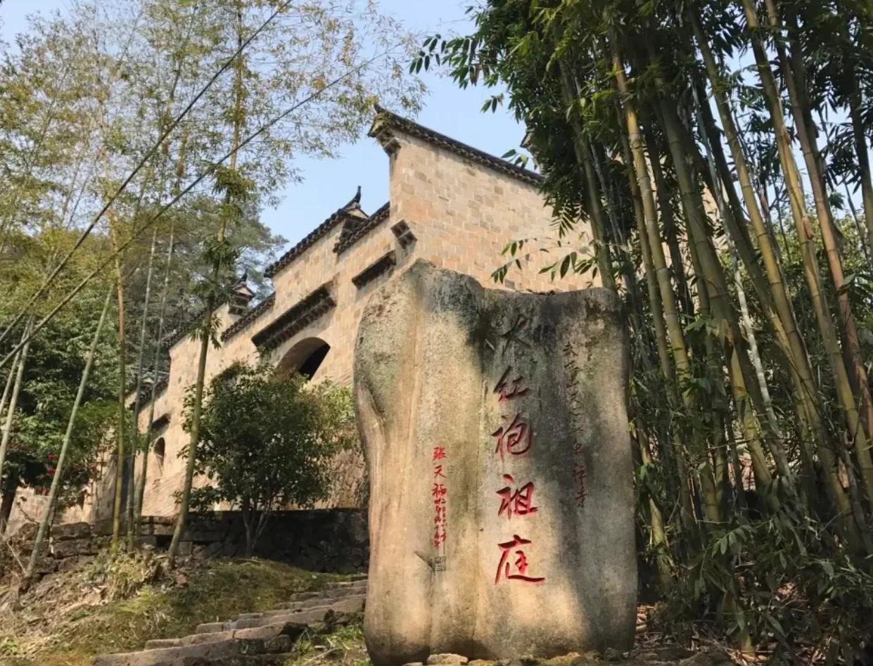 咸宁新手去哪品茶才不踩雷之攻略分享