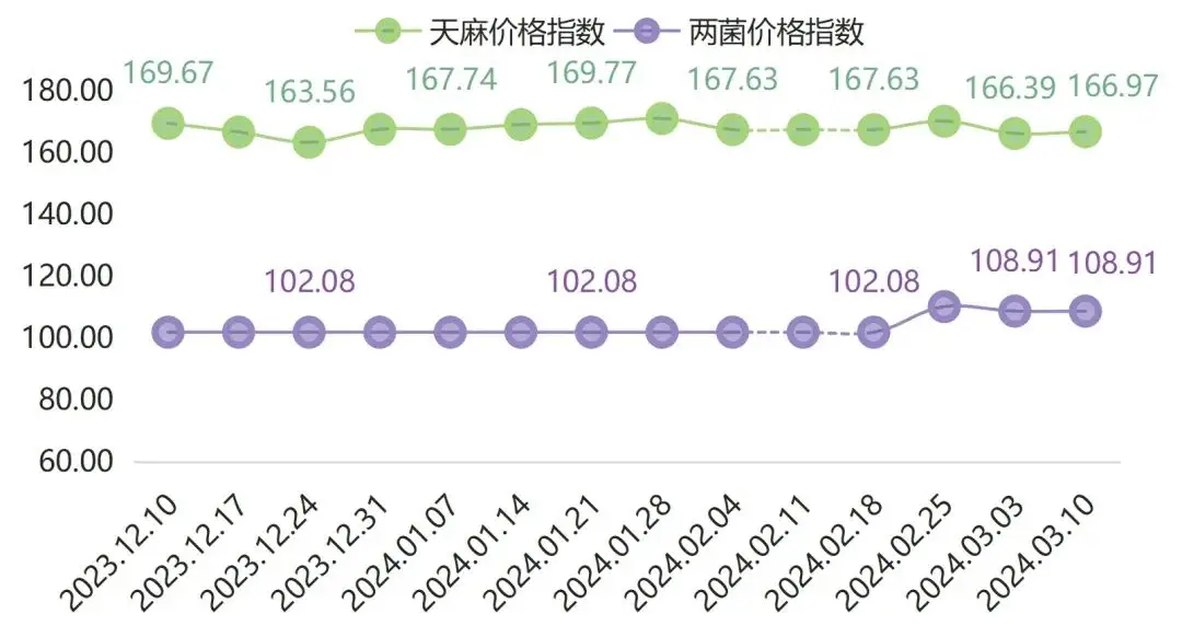 天麻价格