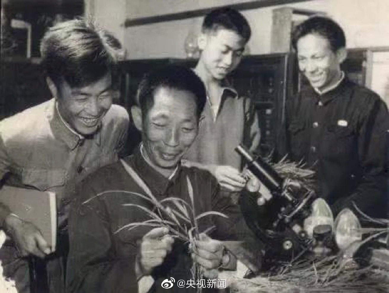 袁隆平为何一直研究杂交水稻 袁隆平是如何成为杂交水稻之父