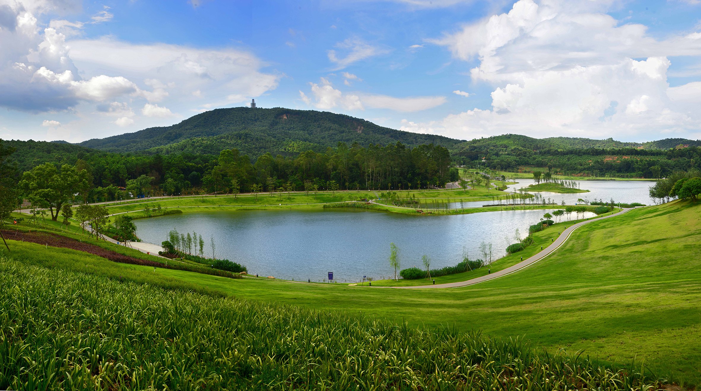 云浮500元睡一晚女的价格到底贵不贵