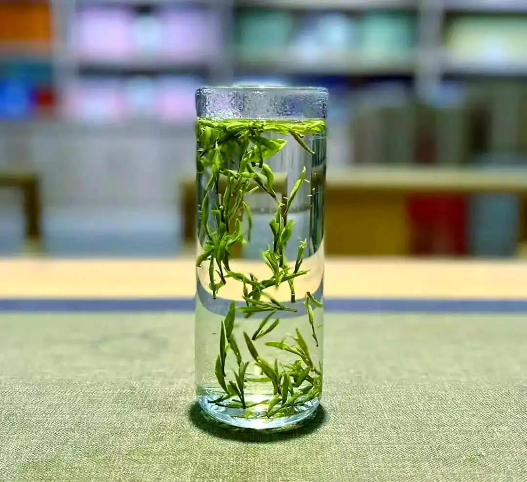 黄山品茶联系方式wx