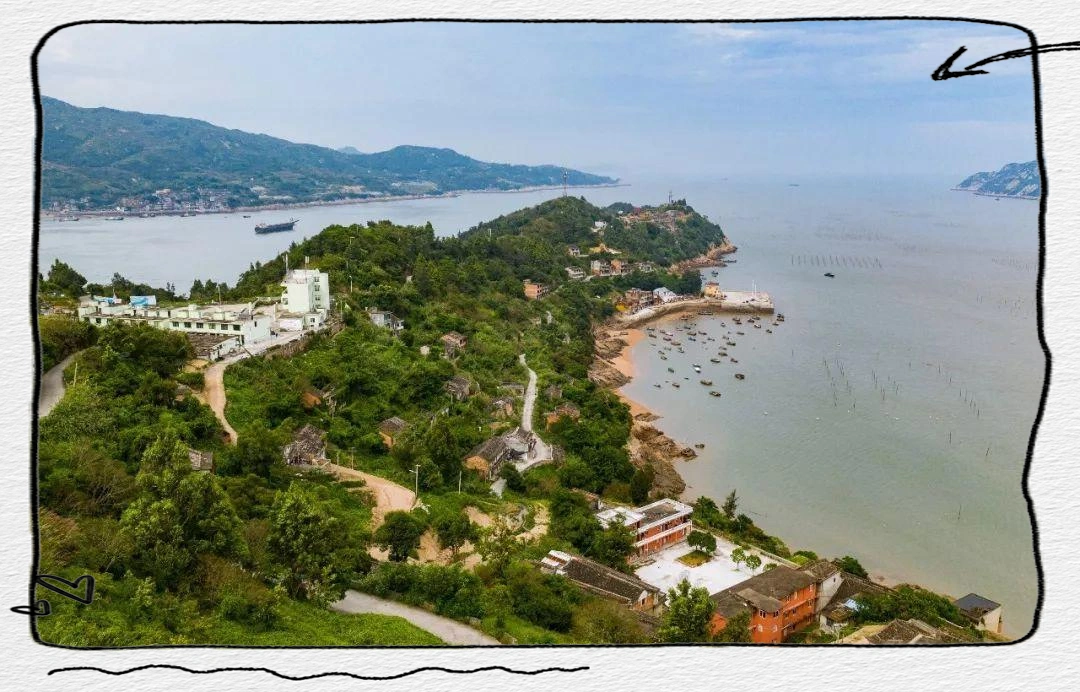 福州高端茶上门服务如何选择才不踩坑？福鼎白茶品牌梯队排行榜，白茶新手必看