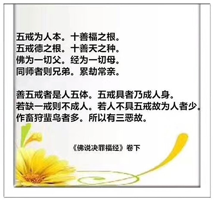 臭味背后的奇妙世界 为什么有人爱闻臭脚吃臭豆腐