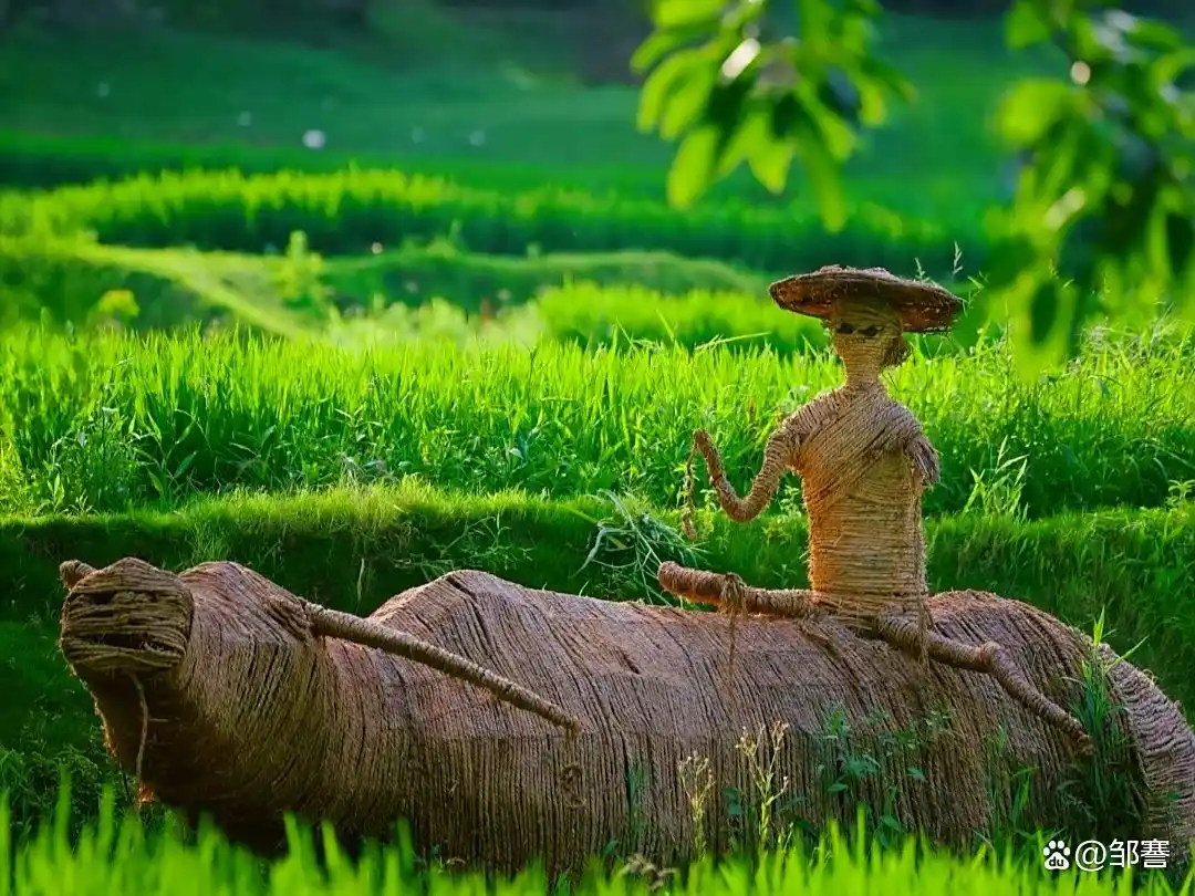 普洱陌陌怎么找接单的兼职女生