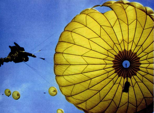 同城上门空降平台解析与服务模式及市场前景深度分析