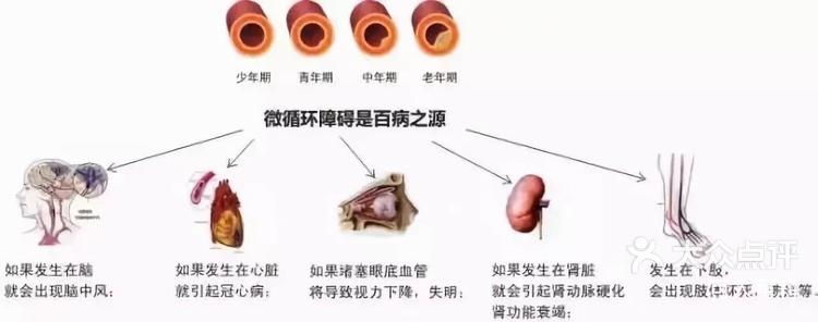 人类无法战胜疾病衰老死亡 人类还能统治地球多久